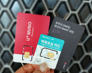 2025년 알뜰폰 요금제 정부지원으로 절약하는 법 총정리
