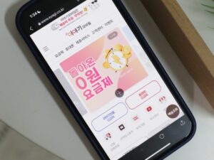2025년 알뜰폰 요금제 정부지원으로 절약하는 법 총정리
