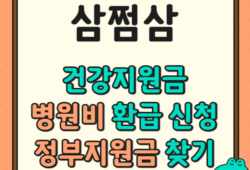 삼쩜삼 건강지원금, 병원비 환급 신청 방법 (ft.정부지원금) 숨겨진 돈 찾기!