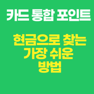 카드 통합 포인트 현금으로 찾는 가장 쉬운 방법, 카드 통합. 숨은 돈 찾기